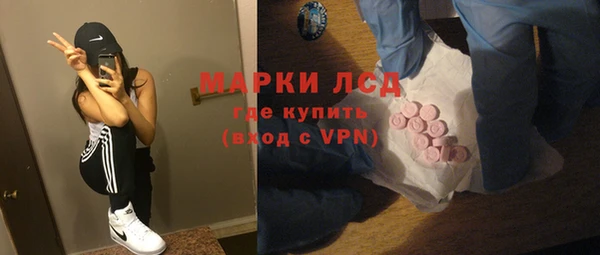 прущий лед Бородино