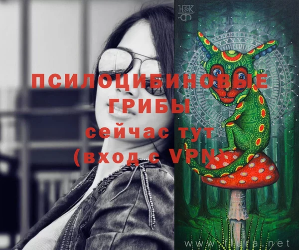 прущий лед Бородино