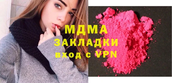 индика Саяногорск