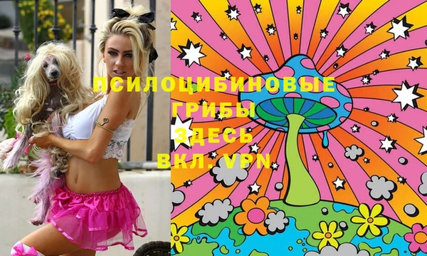 ПСИЛОЦИБИНОВЫЕ ГРИБЫ Сатка