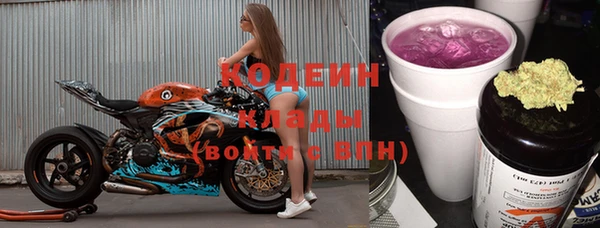 прущий лед Бородино