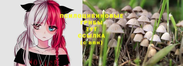 мет Бронницы