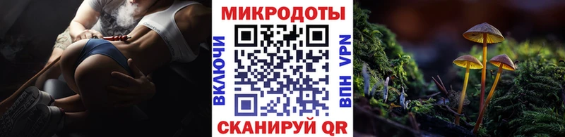 Галлюциногенные грибы Cubensis  Подпорожье 